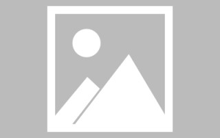双鸭山网页设计英文默认字体（网页设置英文转换中文）